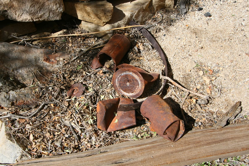 A small can scatter shows that the hole and cap variety are present, which agrees with the early dates attributed to the area.