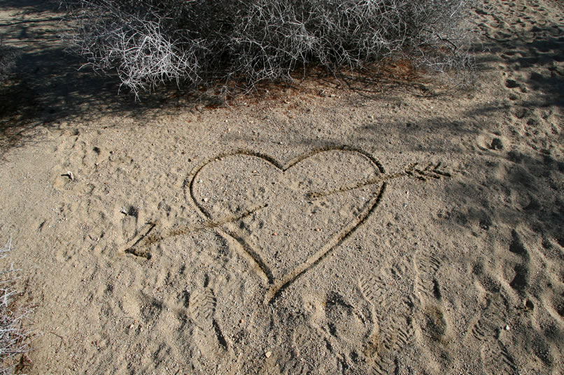 We hope you enjoyed our Valentine's Day hike as much as we did!