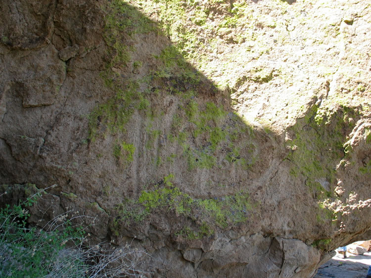 An incised petroglyph on a nearby rock face.  Notice the lichen overgrowth.