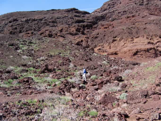 There were many interesting rocks and different types of lava to be found in this area.