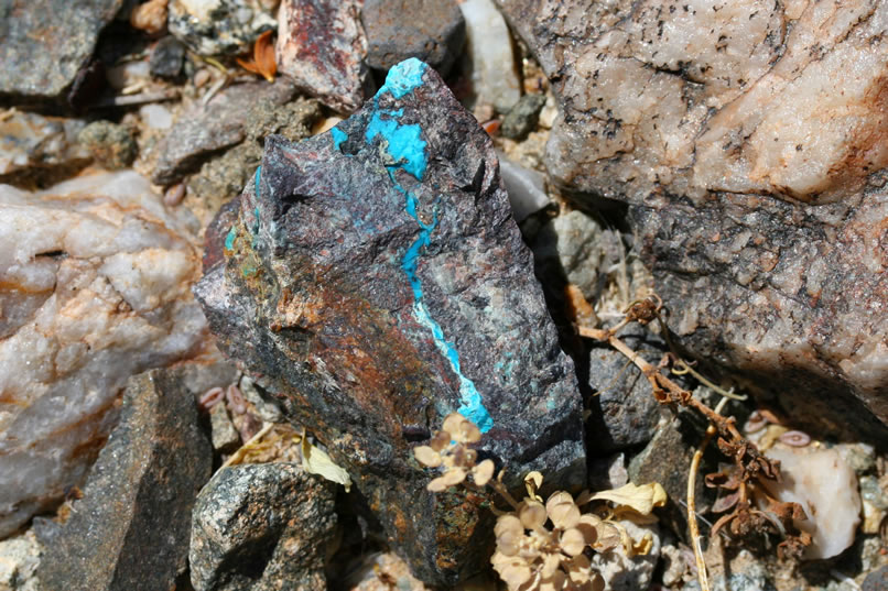 A lot of rocks in the area have copper mineral staining.