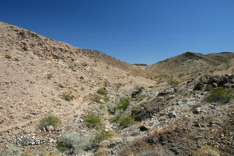 We're a bit surprised to come across a well defined trail that leads up the canyon.