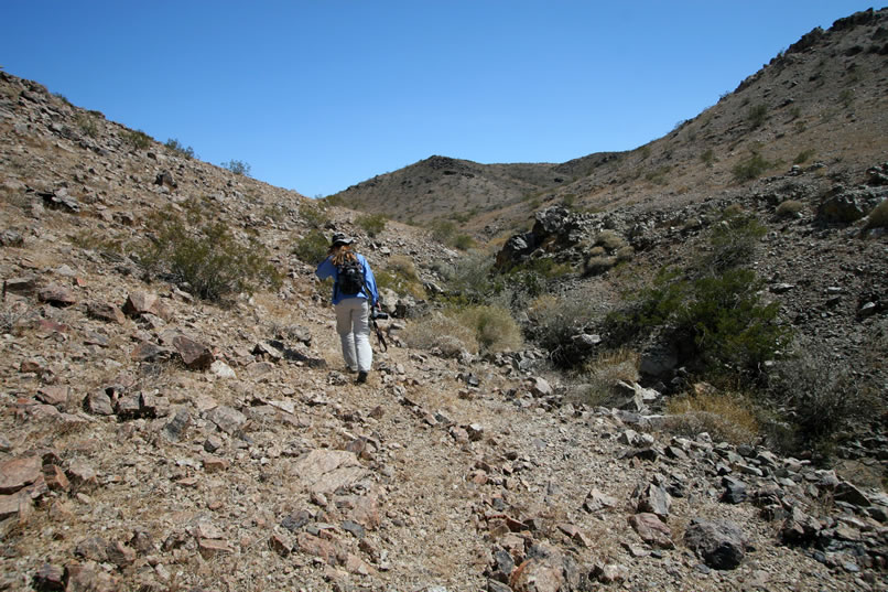 Moving further up the wash, we find that it's easier to stick to the trail.  However, the frequent stacked rock retaining walls in the wash bottom still catch our eye.  