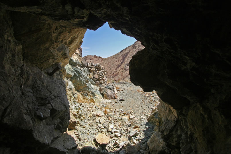 This is a view looking out the tunnel from near the bird's nest.  