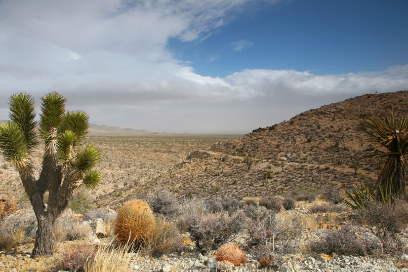 If you have sharp eyes you can just see Mohave out where the old road turns around the ridge.  Don't let the blue sky fool you.  It's only open for a minute or two before being covered over with the next squall line. 