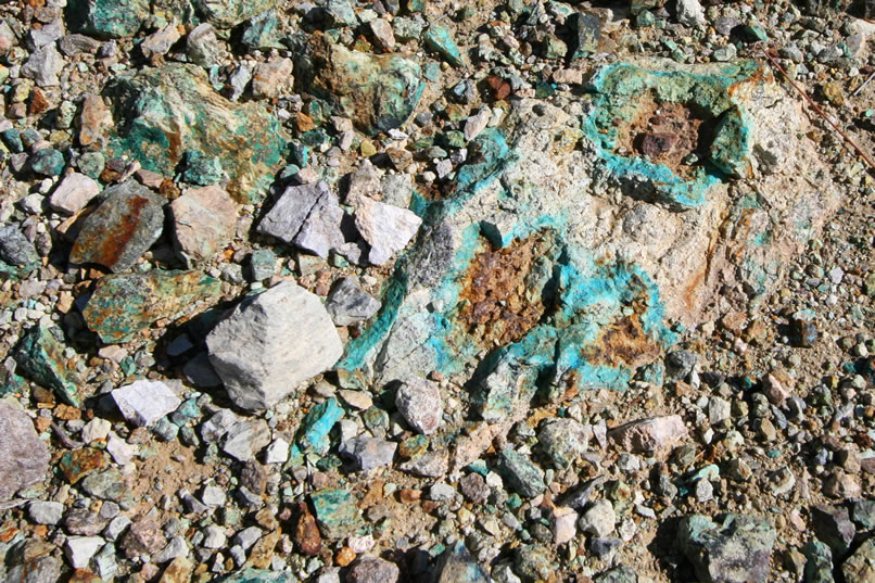 Guy and the Dzrtgrls decide to hike up toward the New Trail Mine located high above the camp.  Along the way, we come upon lots of colorful copper ore samples.