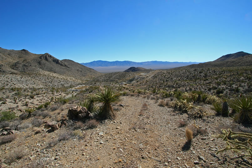 Looking back down along our route.