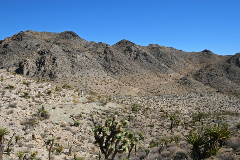 If you have sharp eyes, you can spot Niki exploring a shaft in the foreground of the photo.  On the far hillside, you just might be able to make out the thread of a trail leading to a flat area below the Bullion Mine where we can see what appear to be some timber ruins through our binoculars.