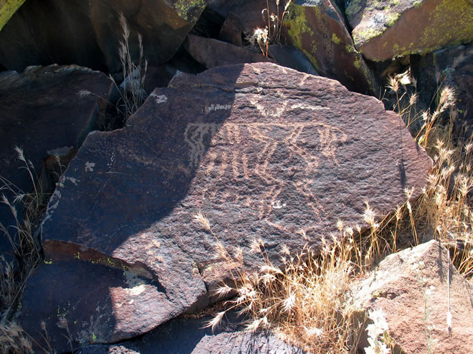 To the prehistoric Indian, Coyote Gulch provided an alternate route to the Inscription Canyon area.