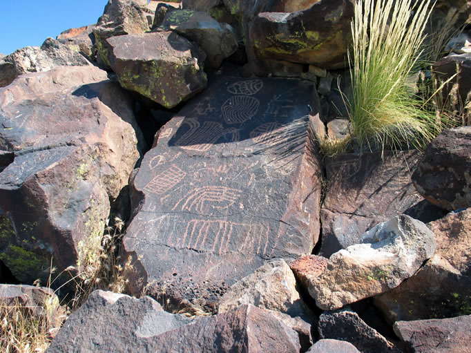 Higher up on the hill is the best petroglyph panel.