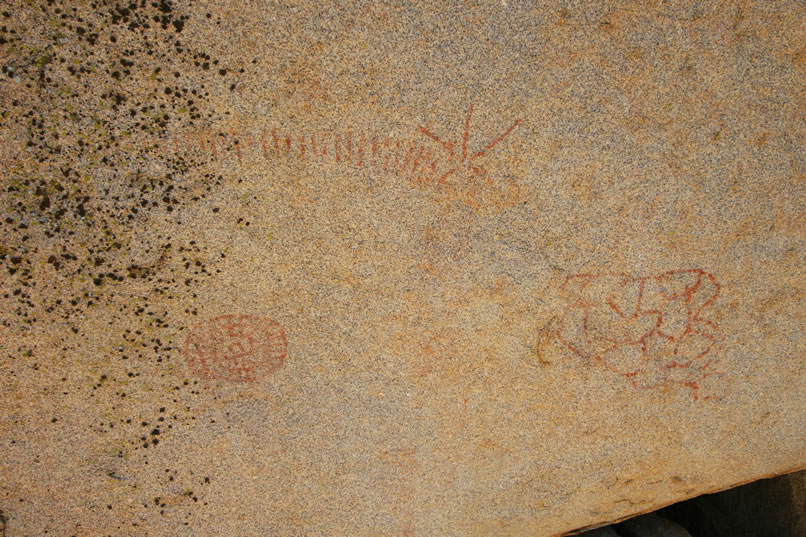 Here's a close-up of the major pictograph elements seen in the previous photo.