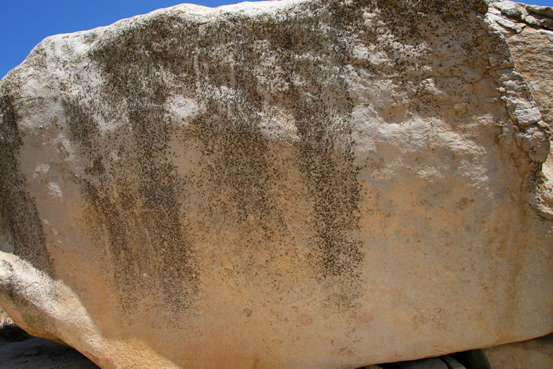 Finally, in this wide angle view of the boulder, rolling your mouse over the image will enable you to see the long vertical line that drops down from the top of the boulder toward the "five pointed star" element.