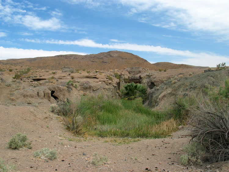 The drive to the trailhead is a slow one involving forty-two miles of remote dirt roads.  Owl Hole Spring is about half way and we make a stop at this little oasis of greenery to stretch our legs.