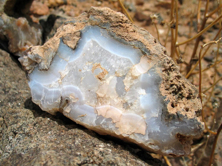 This one would look stunning if cut and polished.  However, this area is in Death Valley National Park, so enjoy the beauty of the rocks but don't take any!