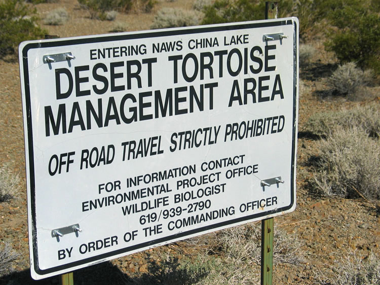 Hmmm.  A tortoise management area in the middle of an aircraft firing range?  What will they think of next!