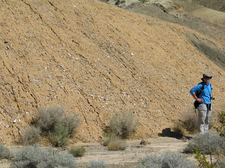 On our way over to the structure ruins we stop to take this shot of a hillside covered with what looks like selenite crystals.