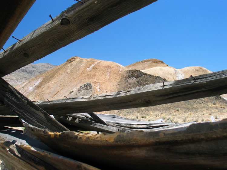 Looking up through the roof beams.