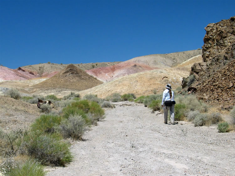 Niki heads up the wash to climb the tallest hill she can find in hopes of getting some scenic panoramas.