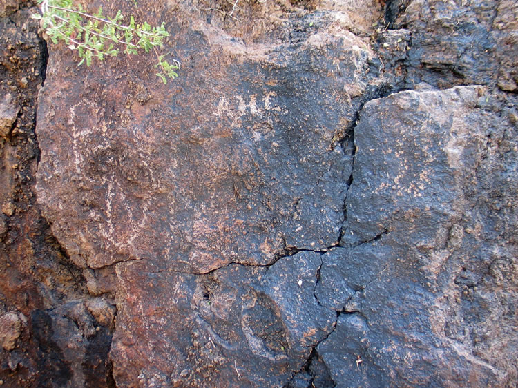 The first petroglyphs that we find are quite faint and mixed with historic graffiti.