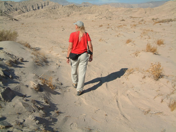 We hike into Blackwood Basin, so named for the abundance of petrified wood.