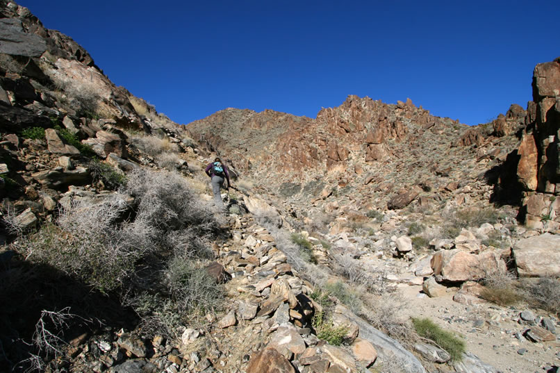 Even though it seems to be heavily eroded, Niki decides to give it a try.  Jamie will work her way up the bottom of the wash and see which offers a better route.