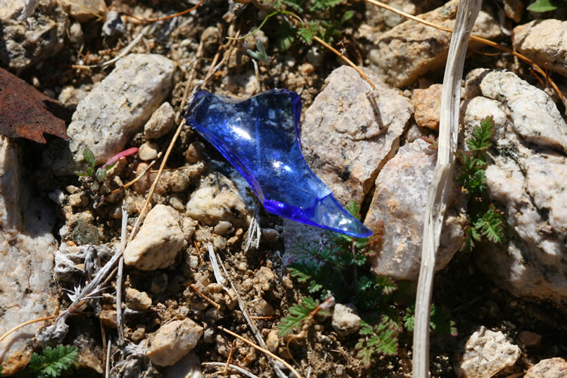 Plenty of colorful glass fragments twinkle in the bright sunlight.