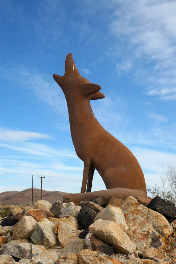 Near the howling coyote next to the visitor center, our little group gets its marching orders.  Don Kasper tells us about the three collecting areas we will visit today and reminds us that our mission is to collect anything that looks good.  He will then select any specimens that are unique enough to be part of his research contribution to the Agate Lexicon Database of the University of Nebraska at Lincoln.