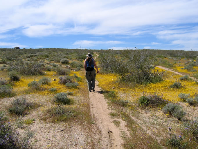 Our next stop, involving a short hike, was to find the location of the Southern Cross Cache.