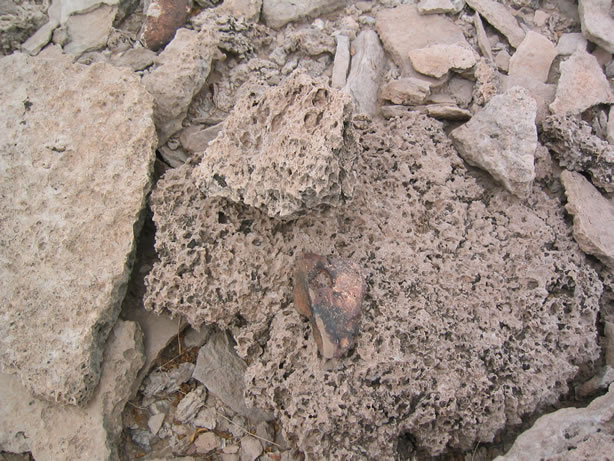 This could possibly be another outcrop of Paleozoic coral.