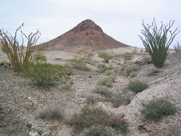 Buzzards Peak