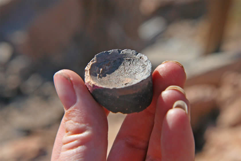 Niki is holding a cupule.  These are made of bone ash and can be used only once in the assay process.  Remember that button of gold and silver and litharge that resulted from heating the ore and fluxes in the crucible?  Well, that button is placed in the bone ash cupule and heated.  The bone ash soaks up the litharge and leaves, hopefully, a tiny dot of gold and silver.  This small dot is then removed and weighed to ascertain the value of the ore sample.