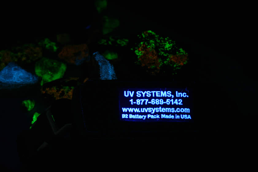 A shameless plug for the maker of the best black light that we've ever owned!