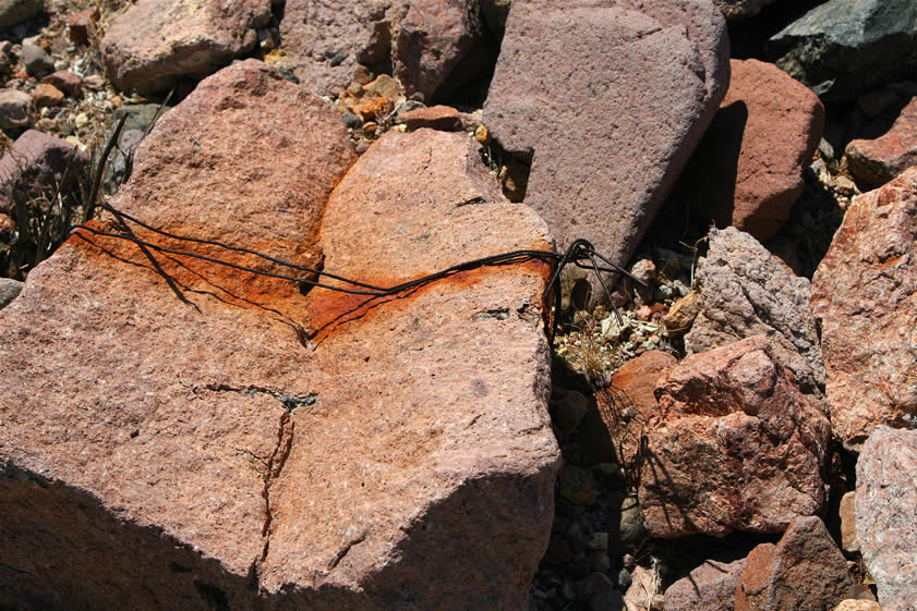 We also find several rocks such as this one that seem to have been used as anchors for tent cabins.  Cleared areas and some low rock walls also seem to support the tent cabin idea.