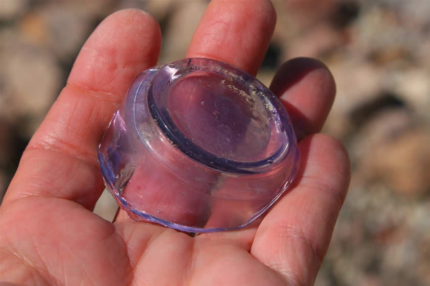 This area, too, continues to show signs of past habitation.  The lavender color of this glass fragment means that it was likely produced before WWI.  From 1890 to 1920 the majority of clear glass was treated with manganese dioxide as a clarifying agent.  However, when such glass is subjected to lots of sunlight it begins to turn a light pink to lavender and even a moderately dark amethyst color. 