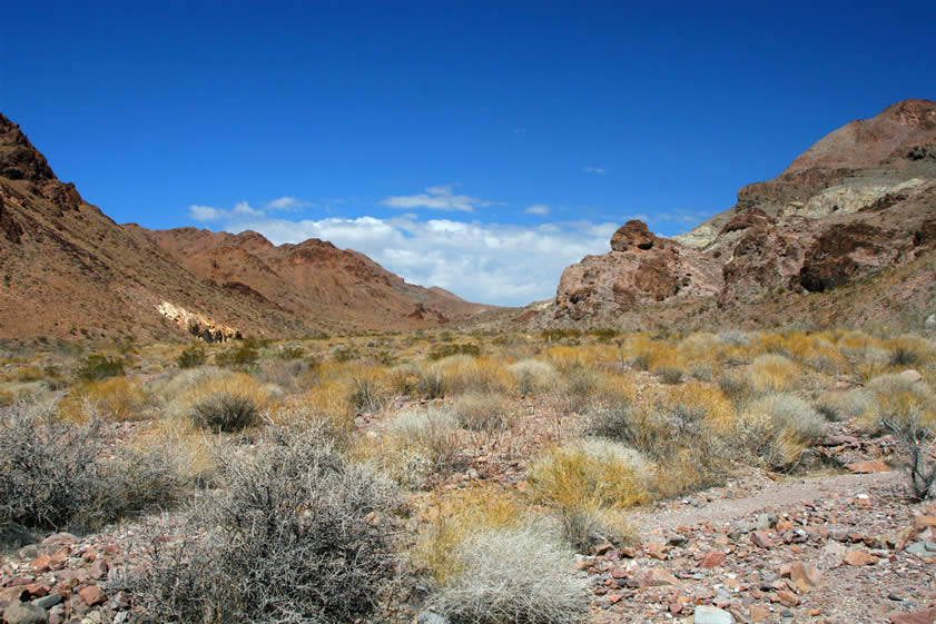 We take a look up into the area that Howard explored as we cross the wash back to the vehicles.