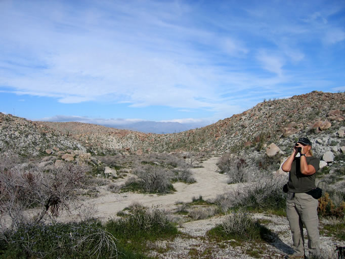 The canyon exits into the northwest corner of Harper Flat.  Jamie scouts the area with her monocular.