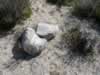 There were several small grinding stones in this area. (167kb)