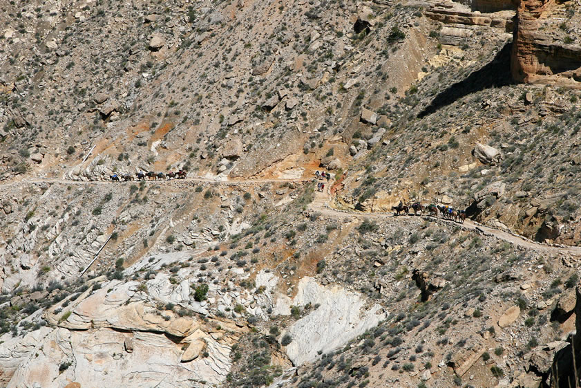 We watched a few pack trains as they set off on the last run of the day.  As they dropped further down the trail the horses looked more like ants.