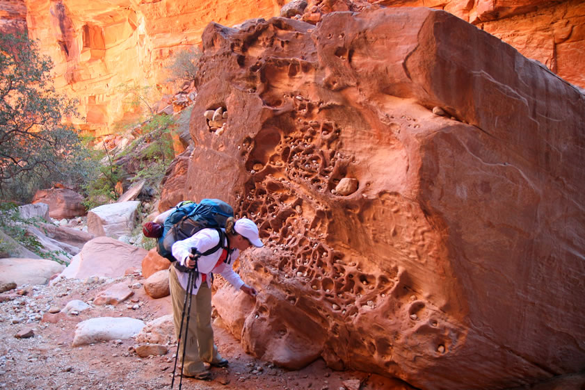 Hikers have placed rocks in the cavities of this boulder.  Jenny looks for a good spot to put hers.