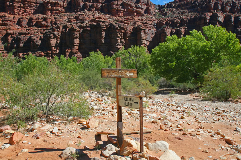 Hualapai Canyon now opens into larger Havasu Canyon.  This means that we're nearing the village of Supai.  If you're really directionally challenged there are even trail signs!