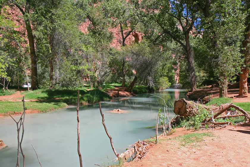 The milky blue-green creek meanders through the campground after its headlong plunge at Havasu Falls.