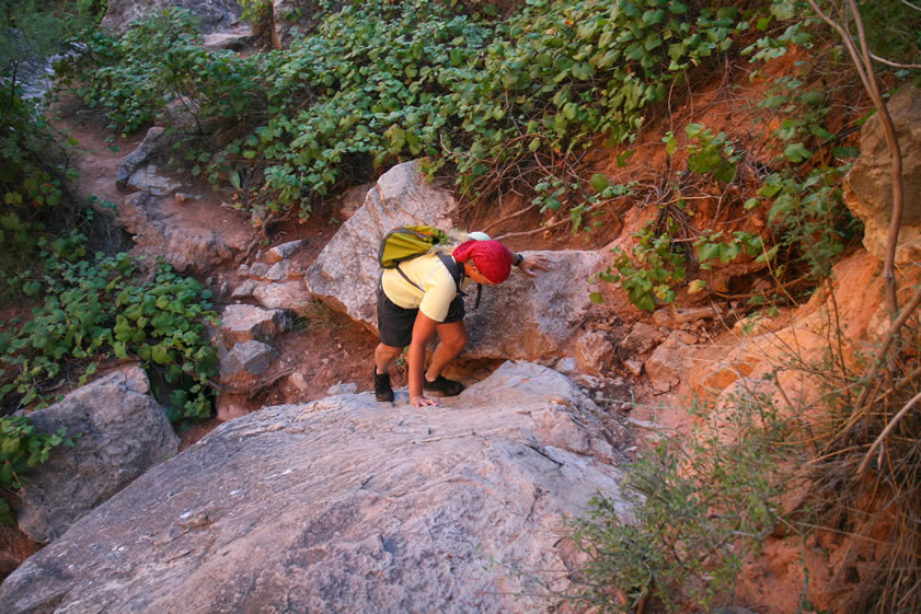 Finally we climb out of the clinging vegetation....