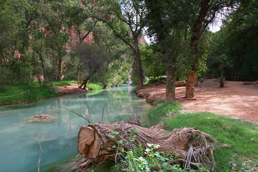 Havasu Creek as it runs through the campground.