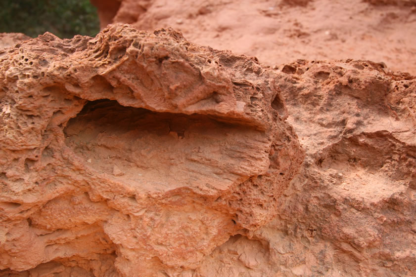 If you examine the travertine around the falls, it's easy to find fossil evidence of objects, in this case a tree trunk, that have been encased in travertine and then rotted away leaving a fossil mold of its shape.