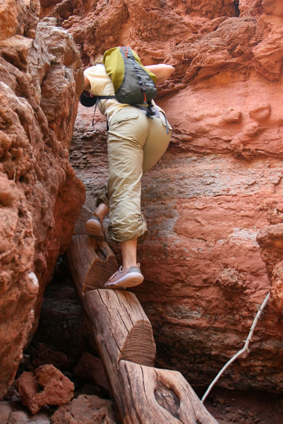 Climbing back down near the palm tree is even tougher than climbing up!