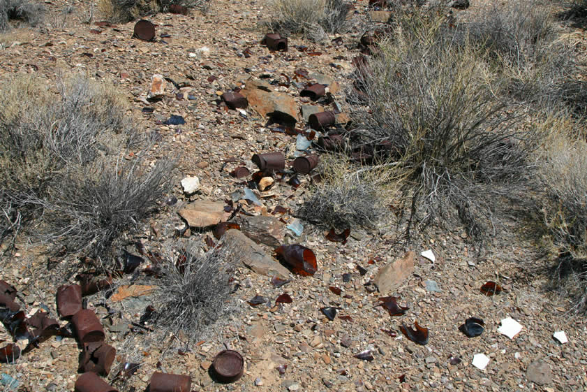 The exact location of the townsite of Harrisburg is hard to pin down.  Most of the structures were nothing more than tent cabins and consequently little is left to provide a definitive location.  However, as you know, the Dzrtgrls love their trash and some careful prowling around turned up a sizeable area of concentrated trash scatter.  We're betting that this area was once the site of Harrisburg.  In the following photos we'll take you on a "tour de trash."