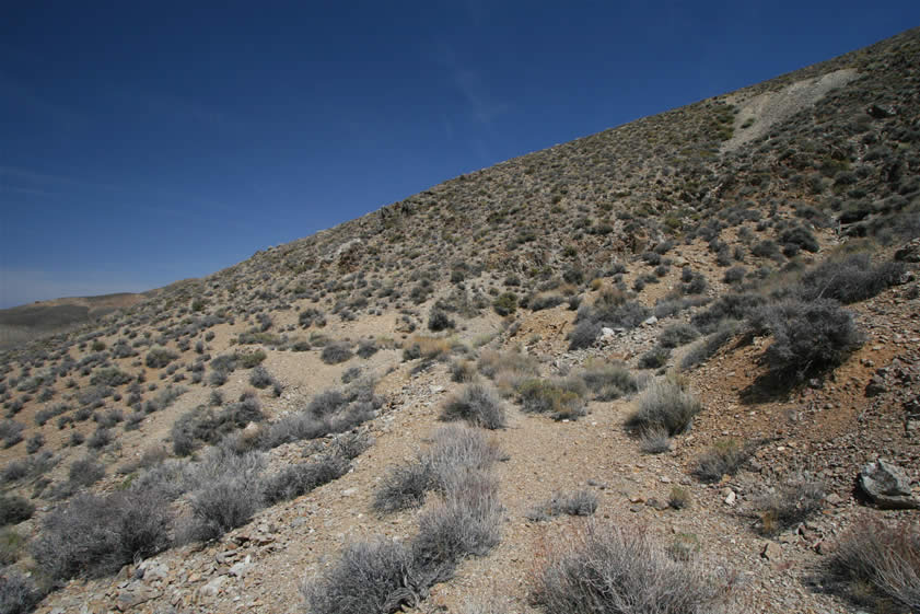 After looking at a couple of short tunnels along this access trail, we decide to try to scramble up to the upper workings.