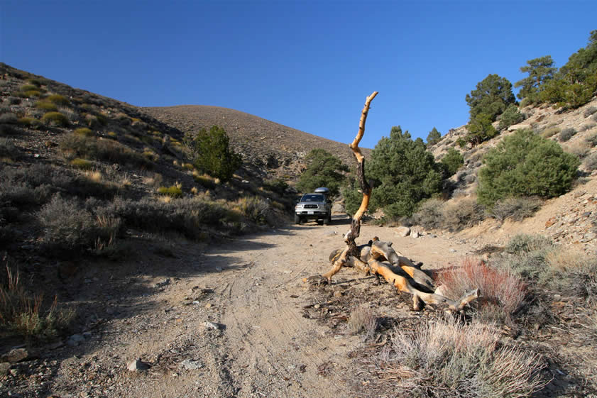 We have to do a lot of driving to shift to this location.  This is the site of our back country camp tonight.