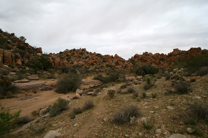 A little flat spot gives us a chance to catch our breath before the last uphill push.