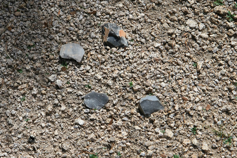 Some chips of gray chert might be from previous Indian use at this spot.